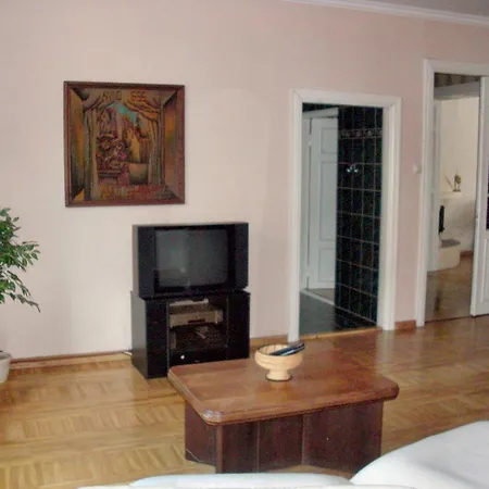 Sunny Grand Apartment By Old Town